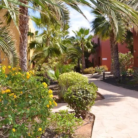 Cosy In Corralejo, Shared Pool, 55 M² * Corralejo